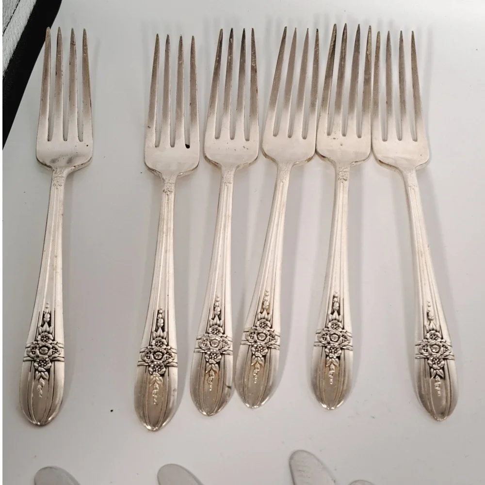 Wm Rogers Mfg Co Gardenia 1937 Silverplate Flatware Set 17pc Vintage Floral